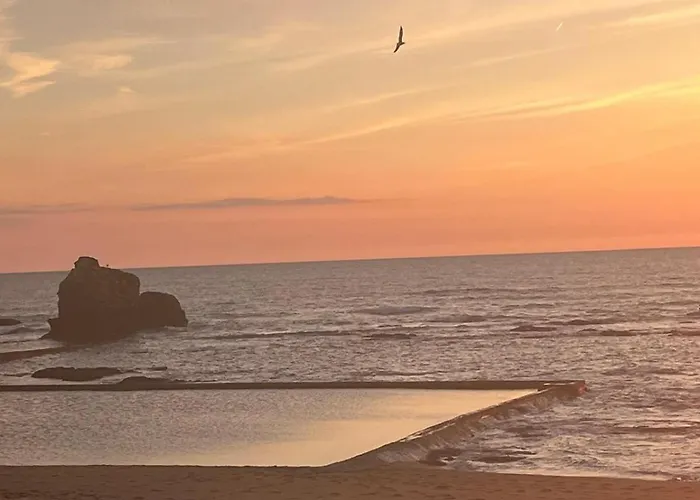 Pomme De Pin * Saint-Hilaire-de-Riez